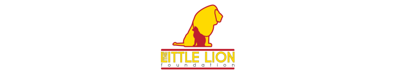 The Little Lion Foundation